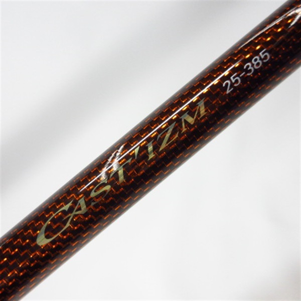 ２０キャスティズム２５－３８５